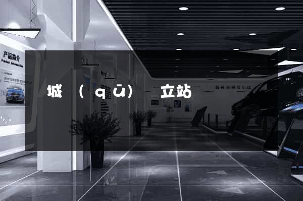 譙城區(qū)獨立站運營