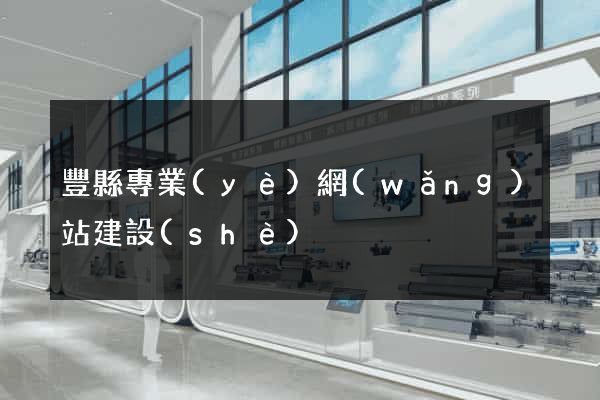 豐縣專業(yè)網(wǎng)站建設(shè)