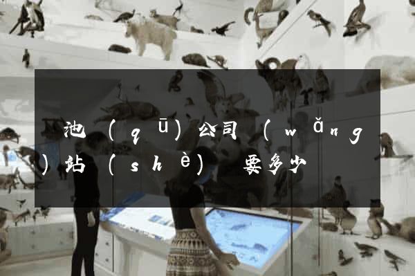 貴池區(qū)公司網(wǎng)站設(shè)計要多少錢