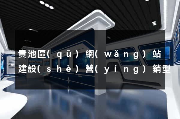 貴池區(qū)網(wǎng)站建設(shè)營(yíng)銷型