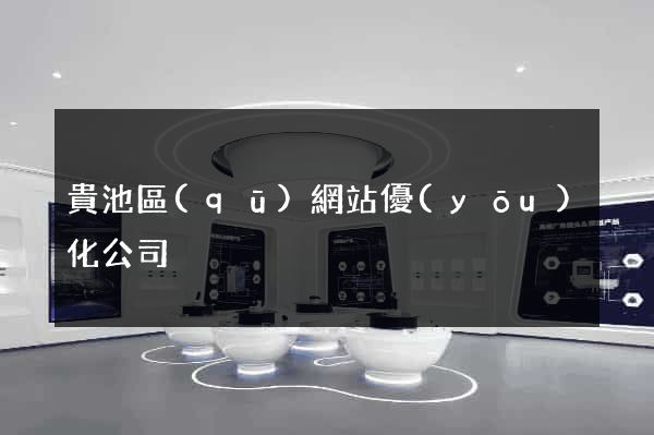 貴池區(qū)網站優(yōu)化公司