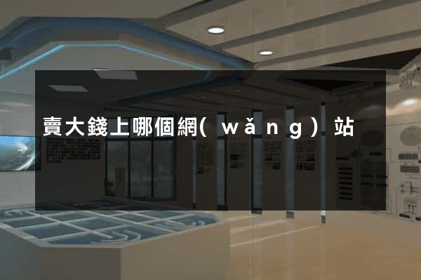 賣大錢上哪個網(wǎng)站