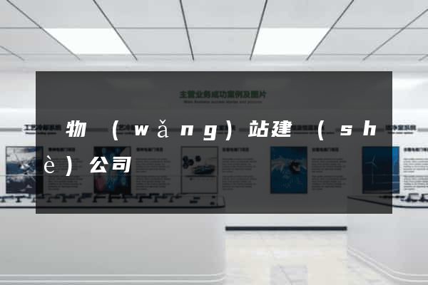 購物網(wǎng)站建設(shè)公司