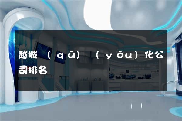 越城區(qū)優(yōu)化公司排名