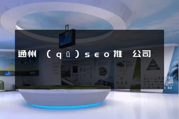 通州區(qū)seo推廣公司