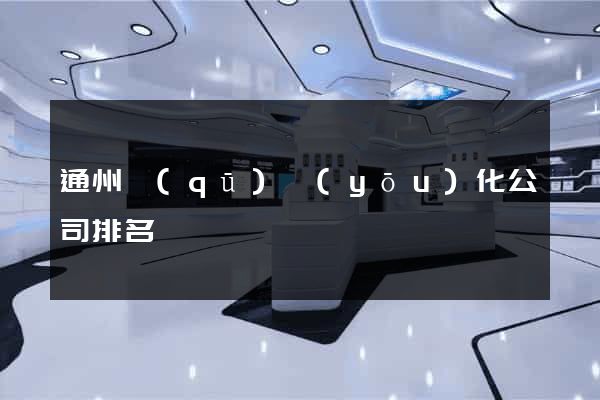 通州區(qū)優(yōu)化公司排名
