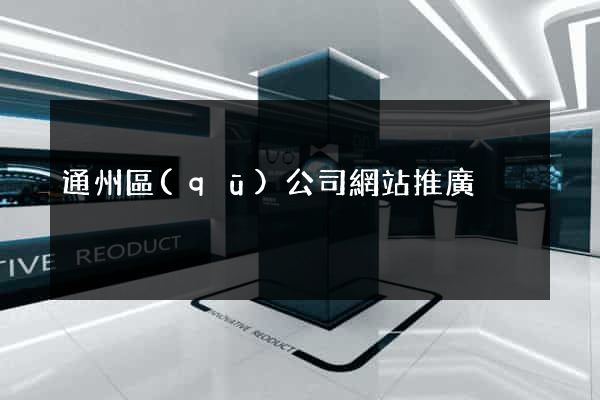 通州區(qū)公司網站推廣