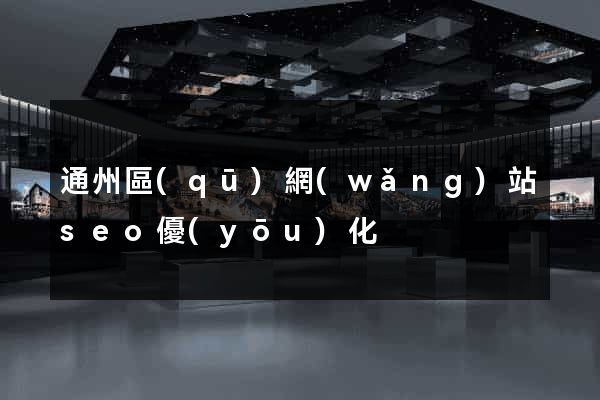 通州區(qū)網(wǎng)站seo優(yōu)化