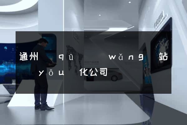 通州區(qū)網(wǎng)站優(yōu)化公司