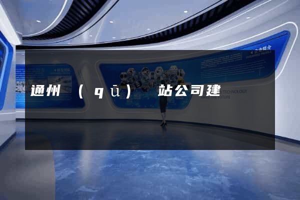 通州區(qū)網站公司建設