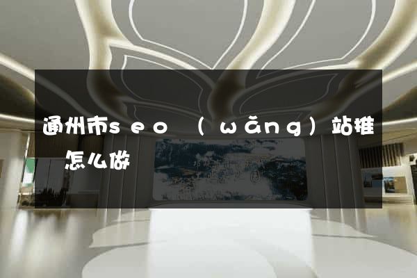 通州市seo網(wǎng)站推廣怎么做
