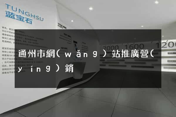 通州市網(wǎng)站推廣營(yíng)銷