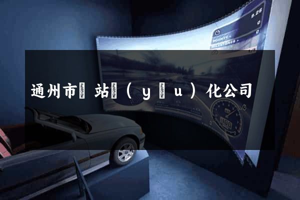 通州市網站優(yōu)化公司