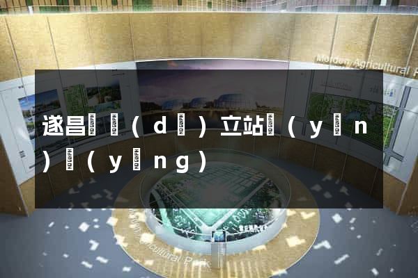遂昌縣獨(dú)立站運(yùn)營(yíng)