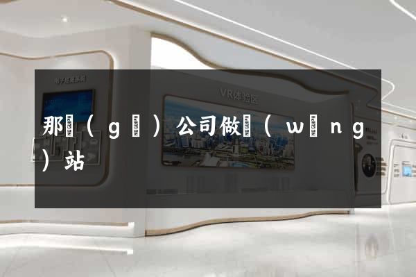 那個(gè)公司做網(wǎng)站