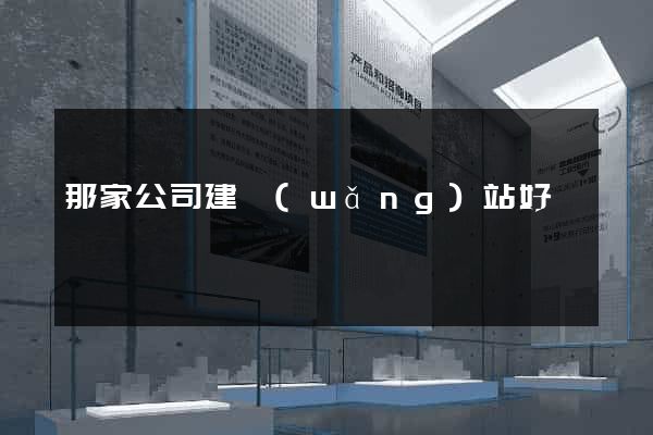 那家公司建網(wǎng)站好