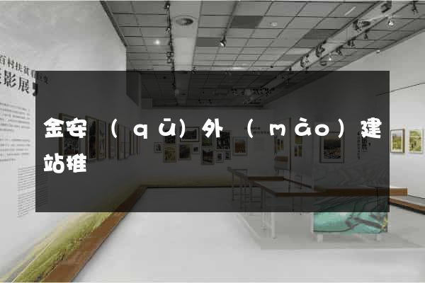 金安區(qū)外貿(mào)建站推廣