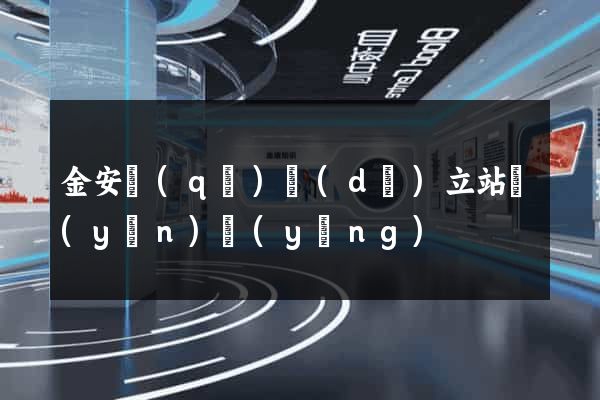 金安區(qū)獨(dú)立站運(yùn)營(yíng)