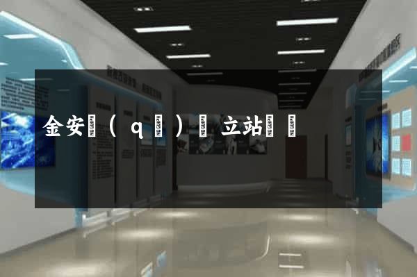 金安區(qū)獨立站運營