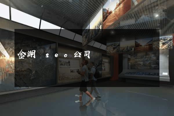 金湖縣seo公司