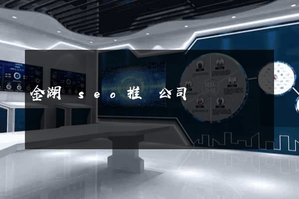 金湖縣seo推廣公司