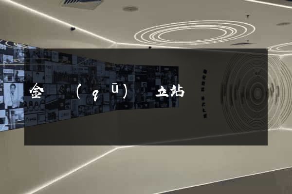 金閶區(qū)獨立站運營