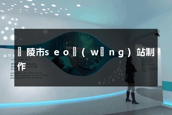 銅陵市seo網(wǎng)站制作