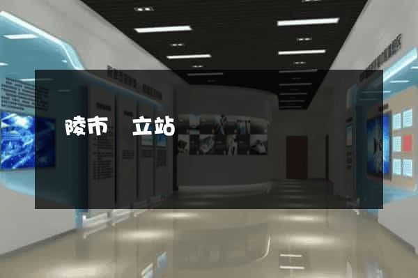 銅陵市獨立站運營