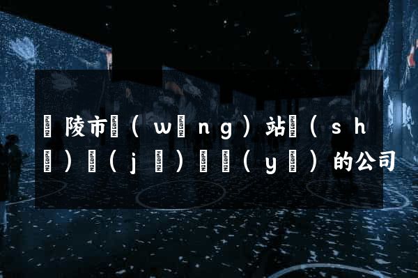 銅陵市網(wǎng)站設(shè)計(jì)專業(yè)的公司