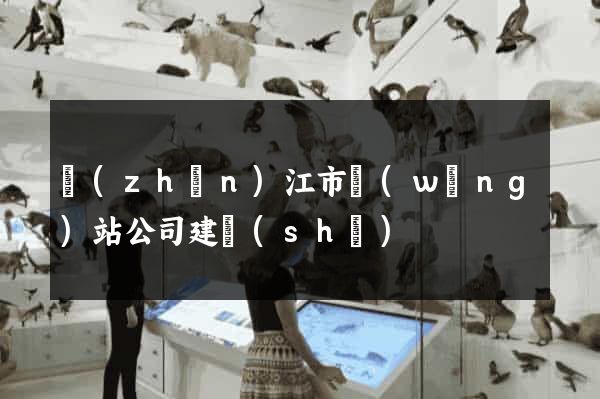 鎮(zhèn)江市網(wǎng)站公司建設(shè)