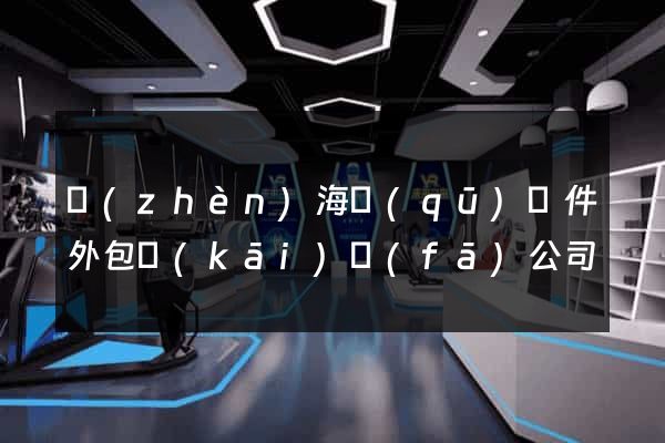 鎮(zhèn)海區(qū)軟件外包開(kāi)發(fā)公司