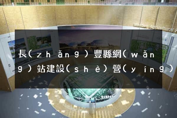 長(zhǎng)豐縣網(wǎng)站建設(shè)營(yíng)銷型