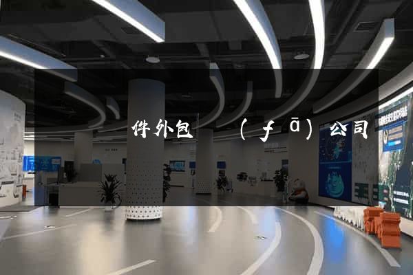 長豐縣軟件外包開發(fā)公司