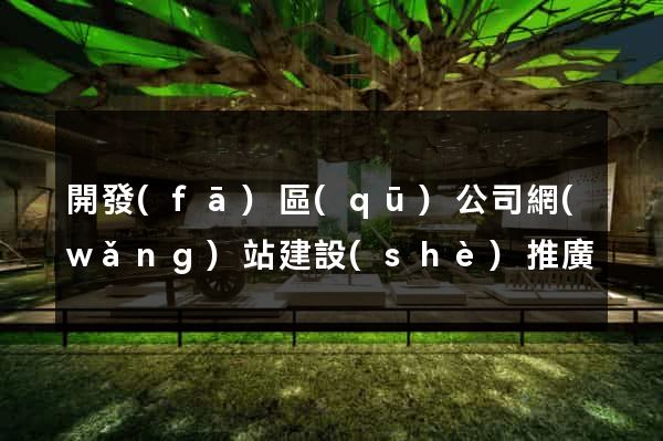 開發(fā)區(qū)公司網(wǎng)站建設(shè)推廣