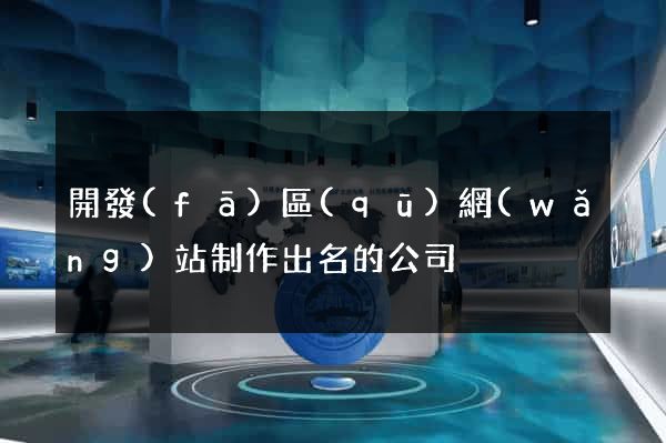 開發(fā)區(qū)網(wǎng)站制作出名的公司