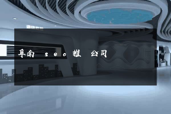 阜南縣seo推廣公司