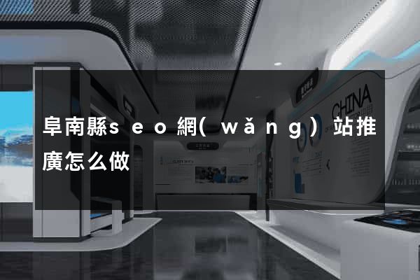 阜南縣seo網(wǎng)站推廣怎么做