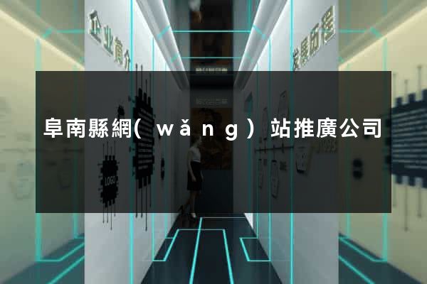 阜南縣網(wǎng)站推廣公司