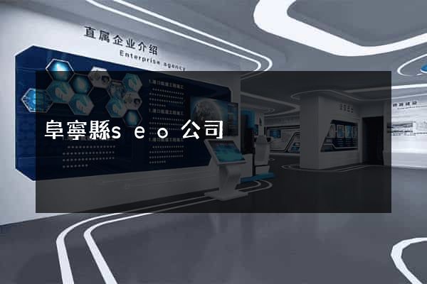 阜寧縣seo公司
