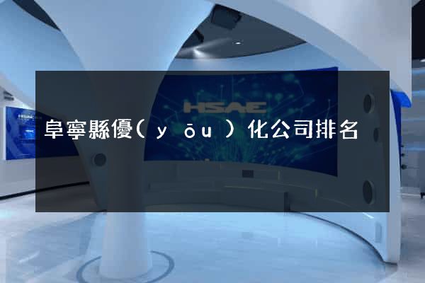 阜寧縣優(yōu)化公司排名