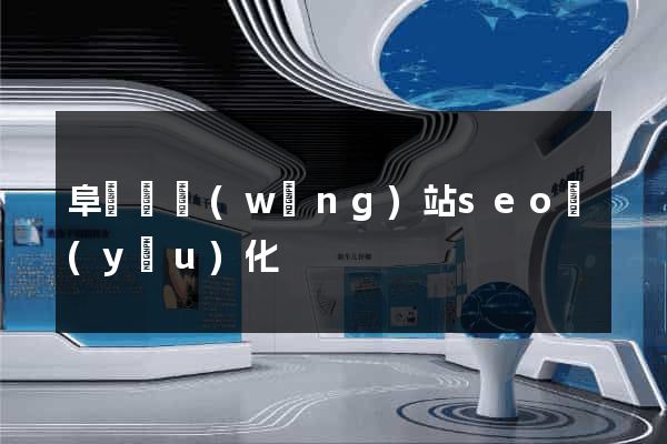 阜寧縣網(wǎng)站seo優(yōu)化