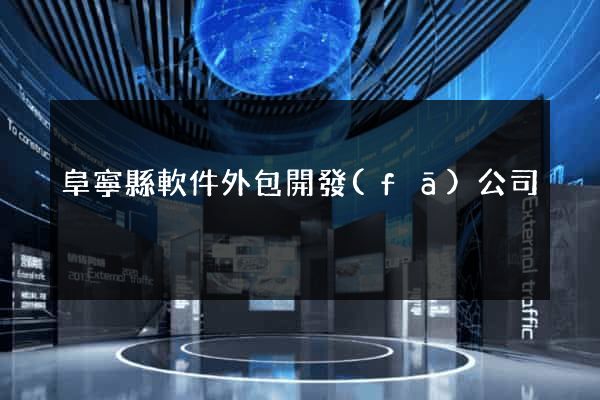 阜寧縣軟件外包開發(fā)公司