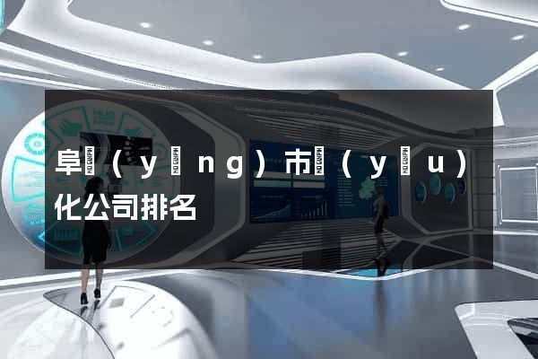 阜陽(yáng)市優(yōu)化公司排名