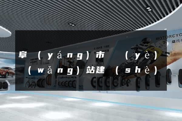 阜陽(yáng)市專業(yè)網(wǎng)站建設(shè)