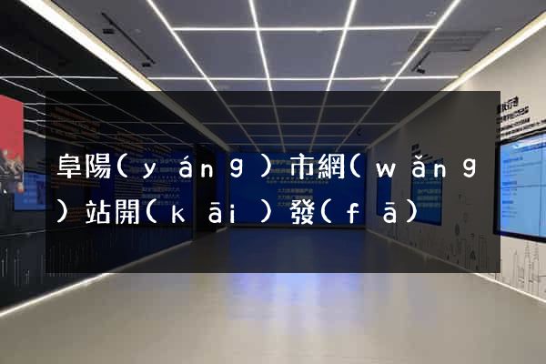 阜陽(yáng)市網(wǎng)站開(kāi)發(fā)