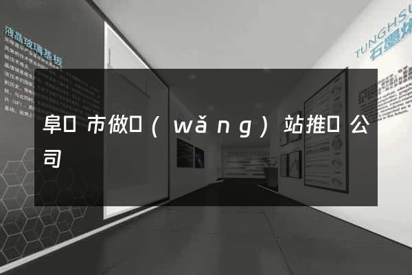 阜陽市做網(wǎng)站推廣公司