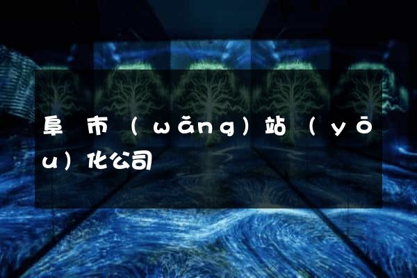 阜陽市網(wǎng)站優(yōu)化公司