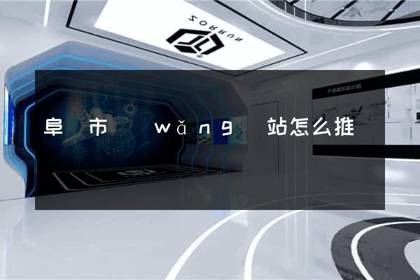 阜陽市網(wǎng)站怎么推廣