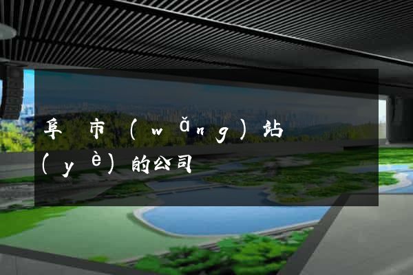 阜陽市網(wǎng)站設計專業(yè)的公司