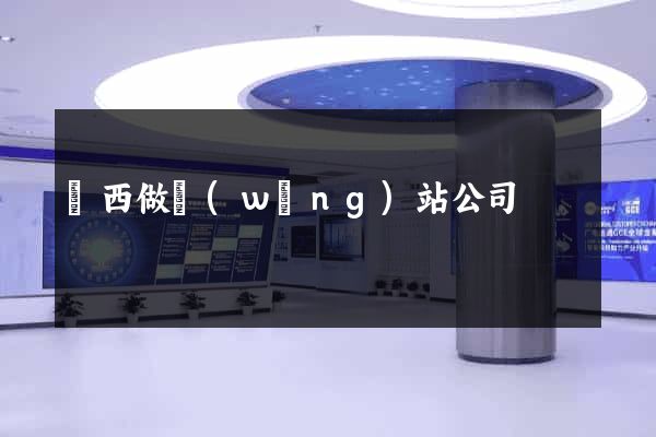 陜西做網(wǎng)站公司